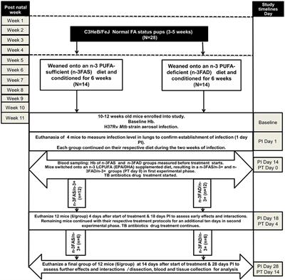 Adjunct n-3 Long-Chain Polyunsaturated Fatty Acid Treatment in Tuberculosis Reduces Inflammation and Improves Anemia of Infection More in C3HeB/FeJ Mice With Low <mark class="highlighted">n-3 Fatty Acid</mark> Status Than Sufficient <mark class="highlighted">n-3 Fatty Acid</mark> Status